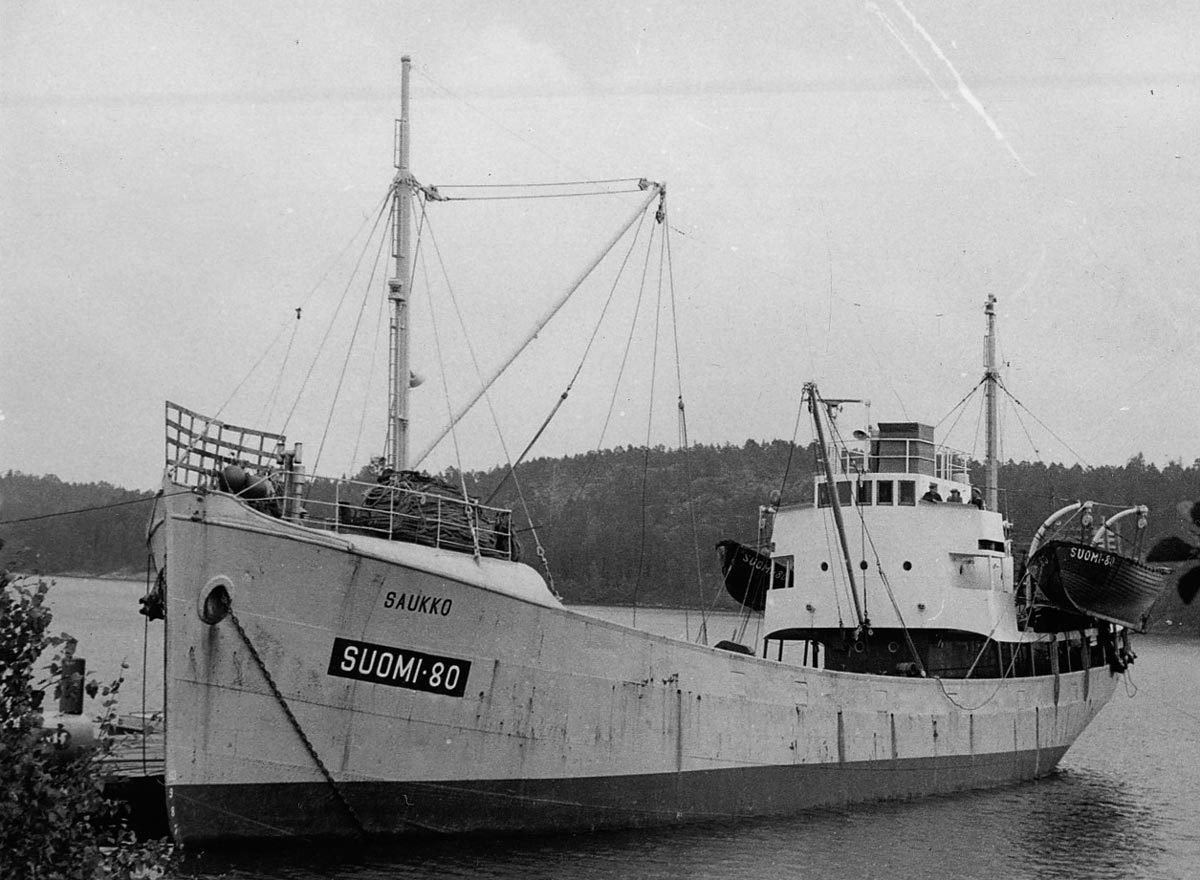 saukko_80