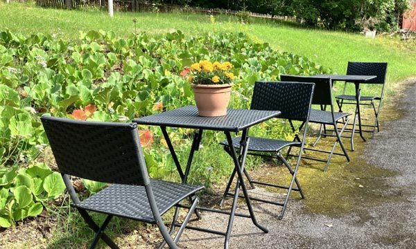 villa_facklan_puutarha